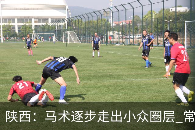 陕西：马术逐步走出小众圈层 常年参训人数达数千人